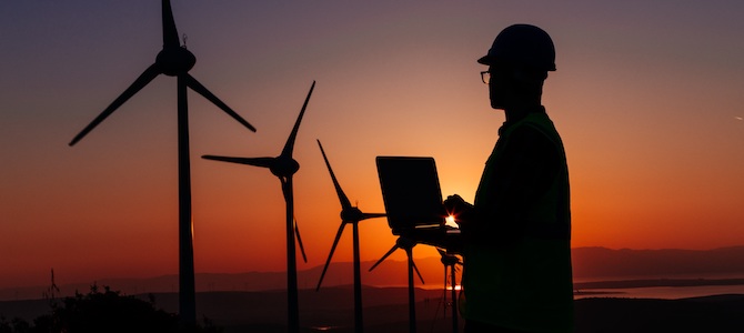 Worker overlooking wind turbines
