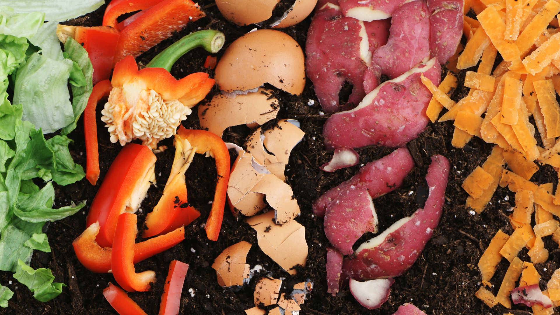 Food scraps being put to use in composting