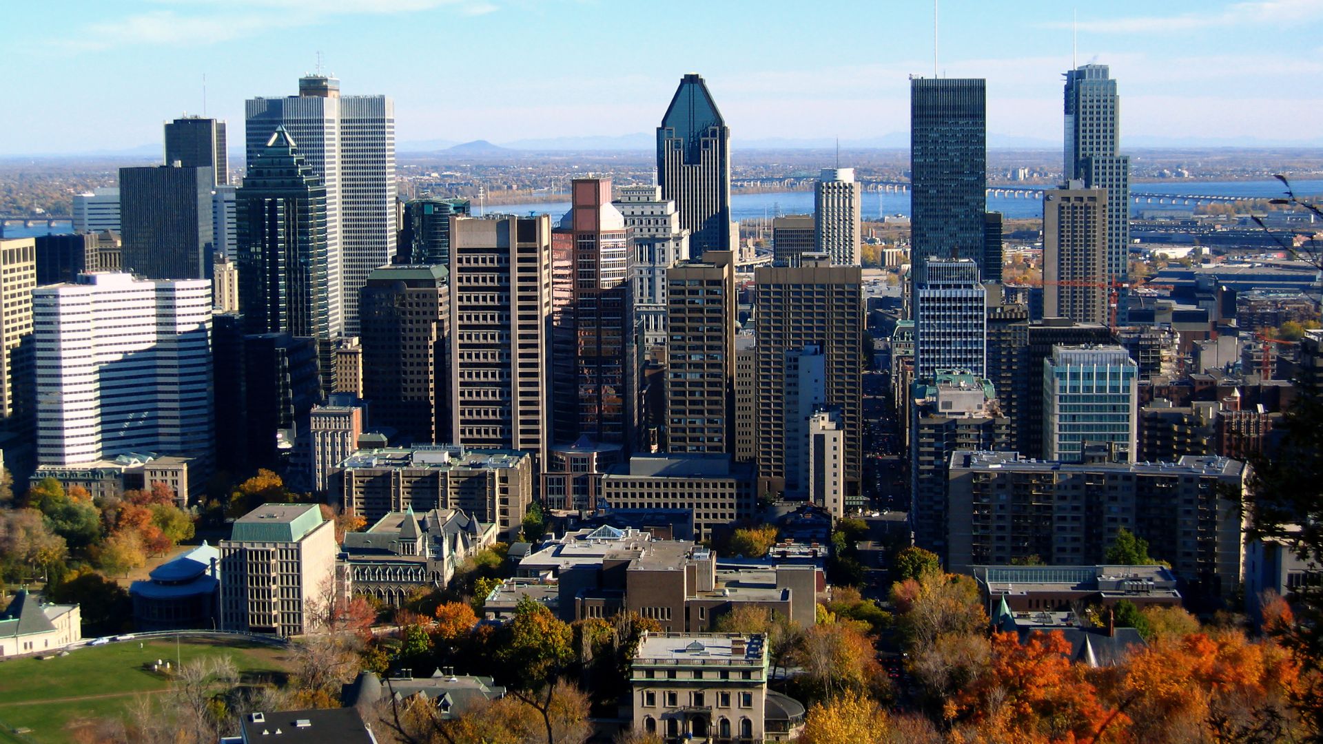 The Montreal skyline