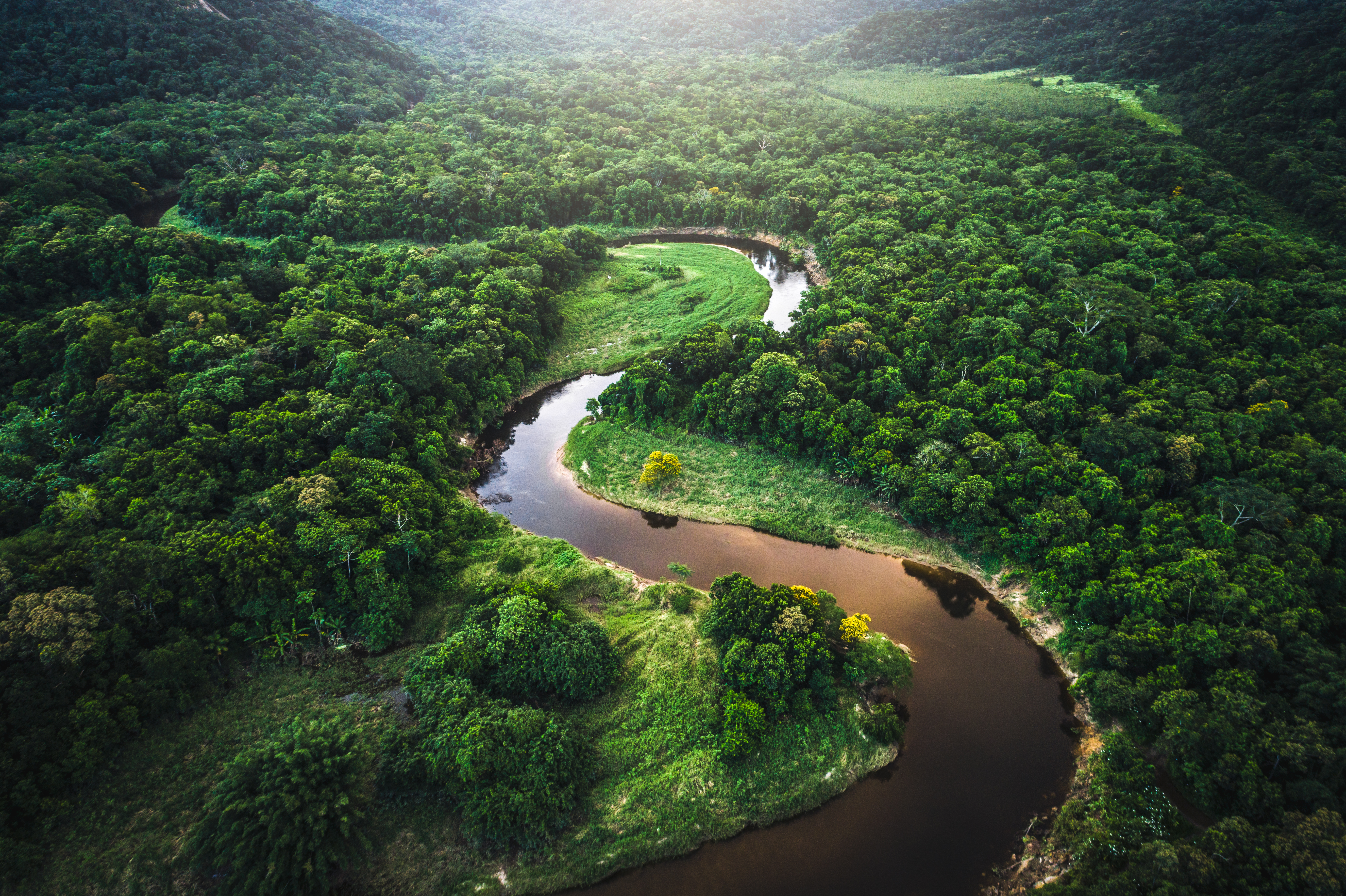 A overhead shot of a river flowing through rainforest