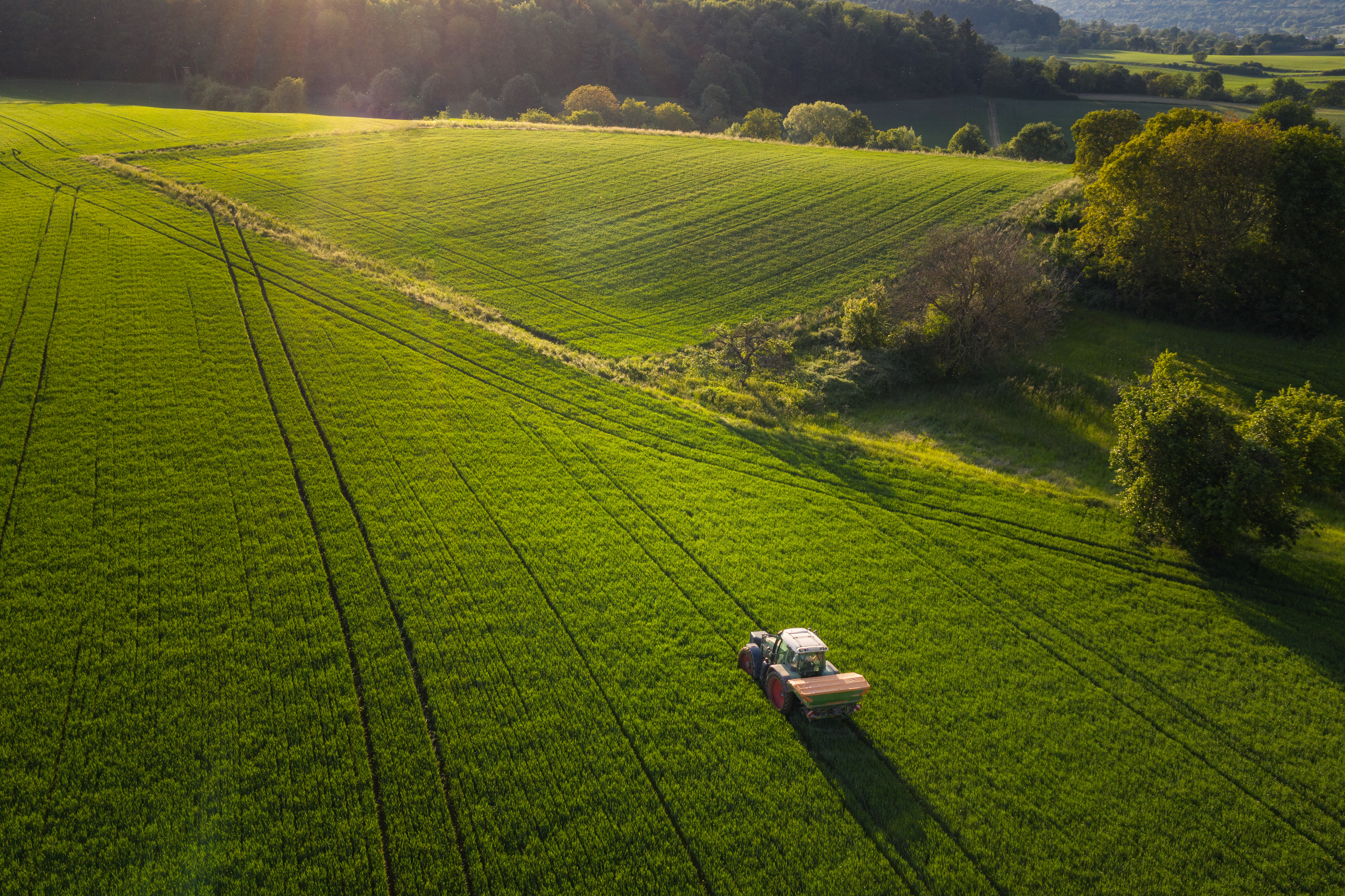 A tractor drives through a large green field