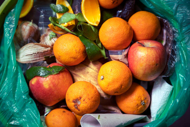 Fruits and other compost in a green composting bag