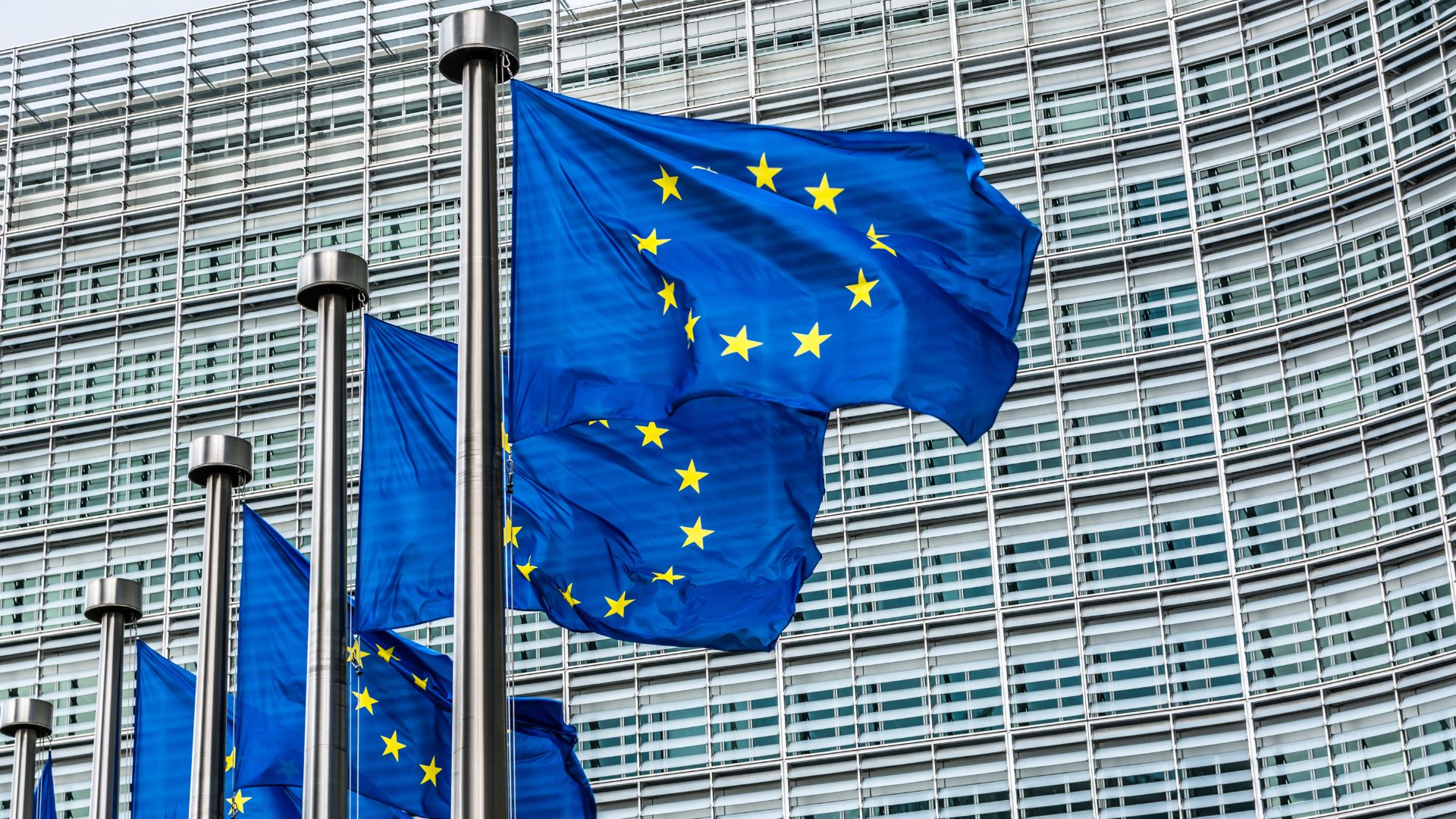 A row of the EU flags - yellow stars in a circle on a blue flag