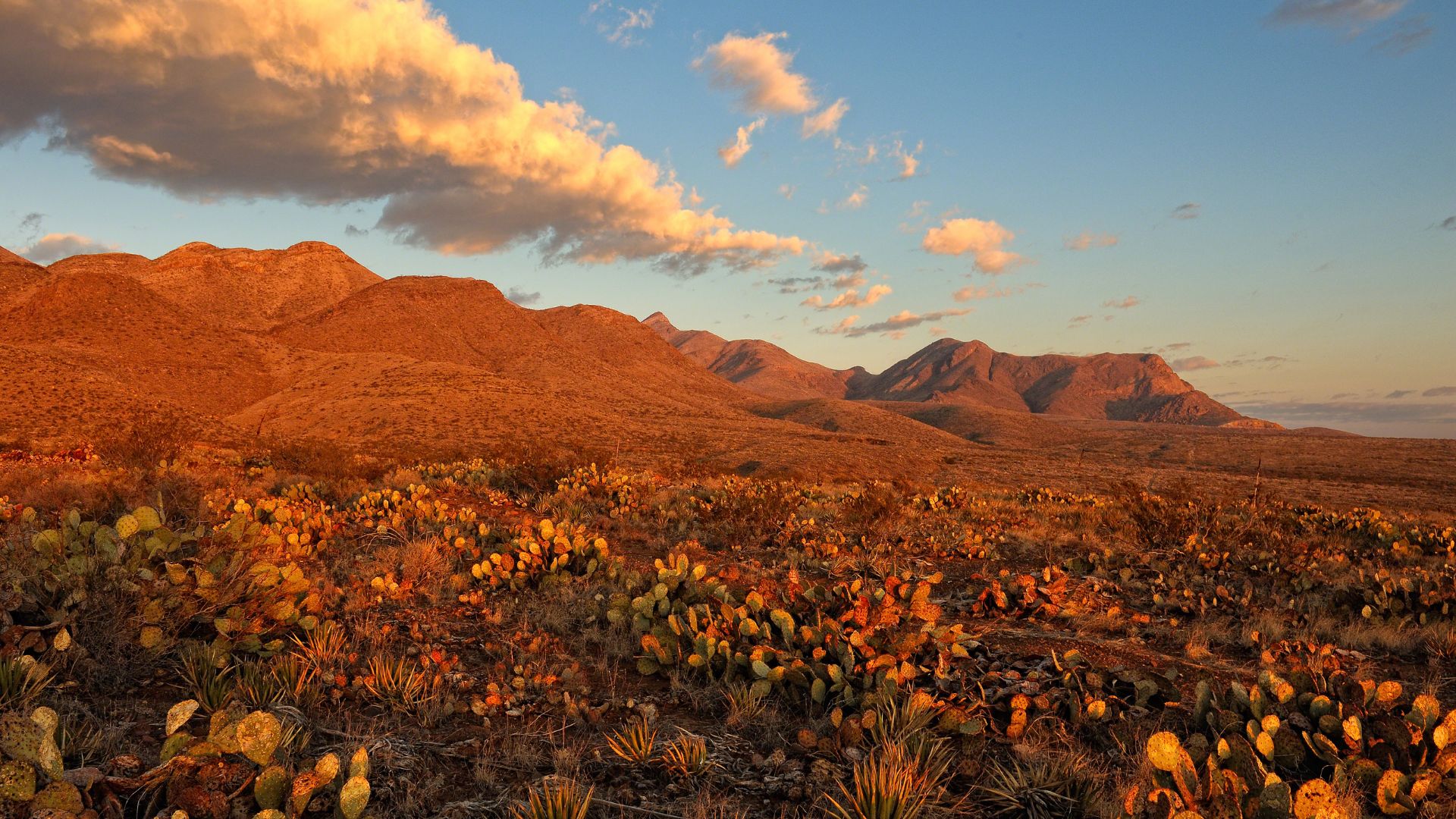 A scenic view of a range of mountains in the Southwest U.S.