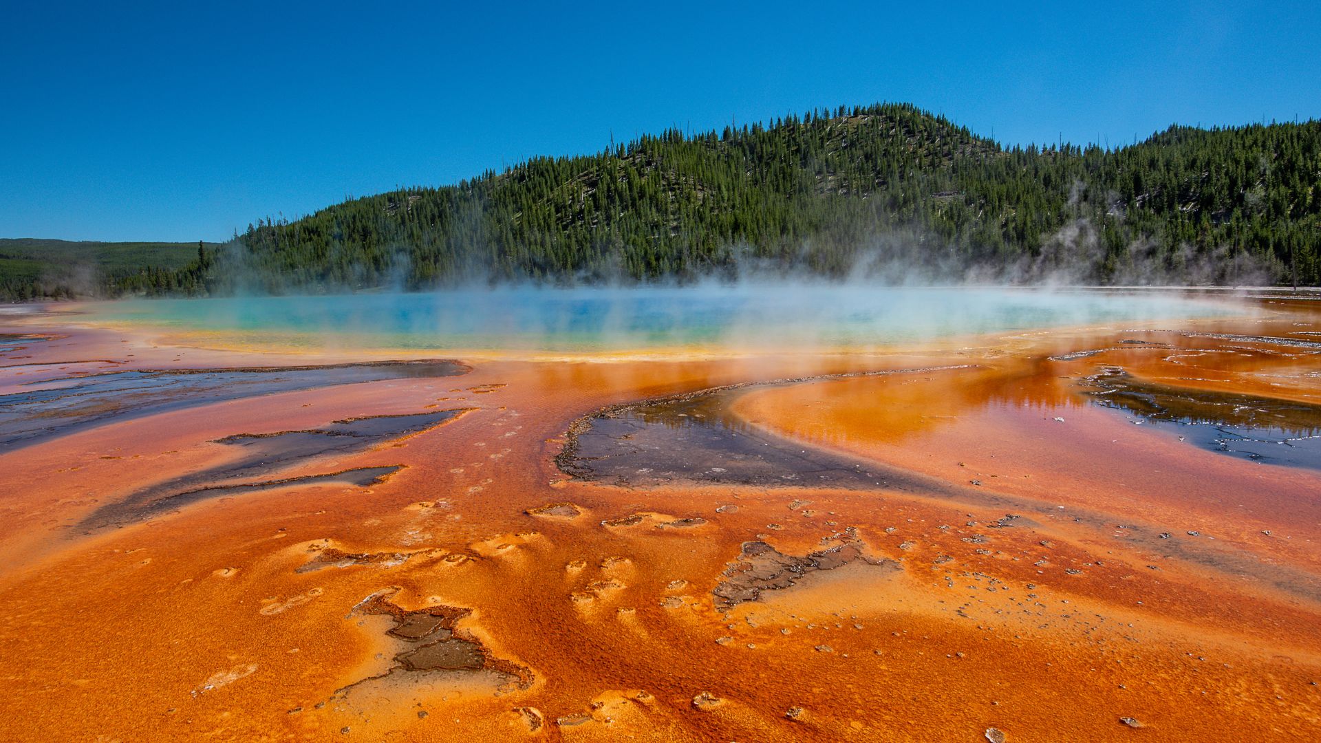 The Grand Prismatic Spring in Yellowstone National Park