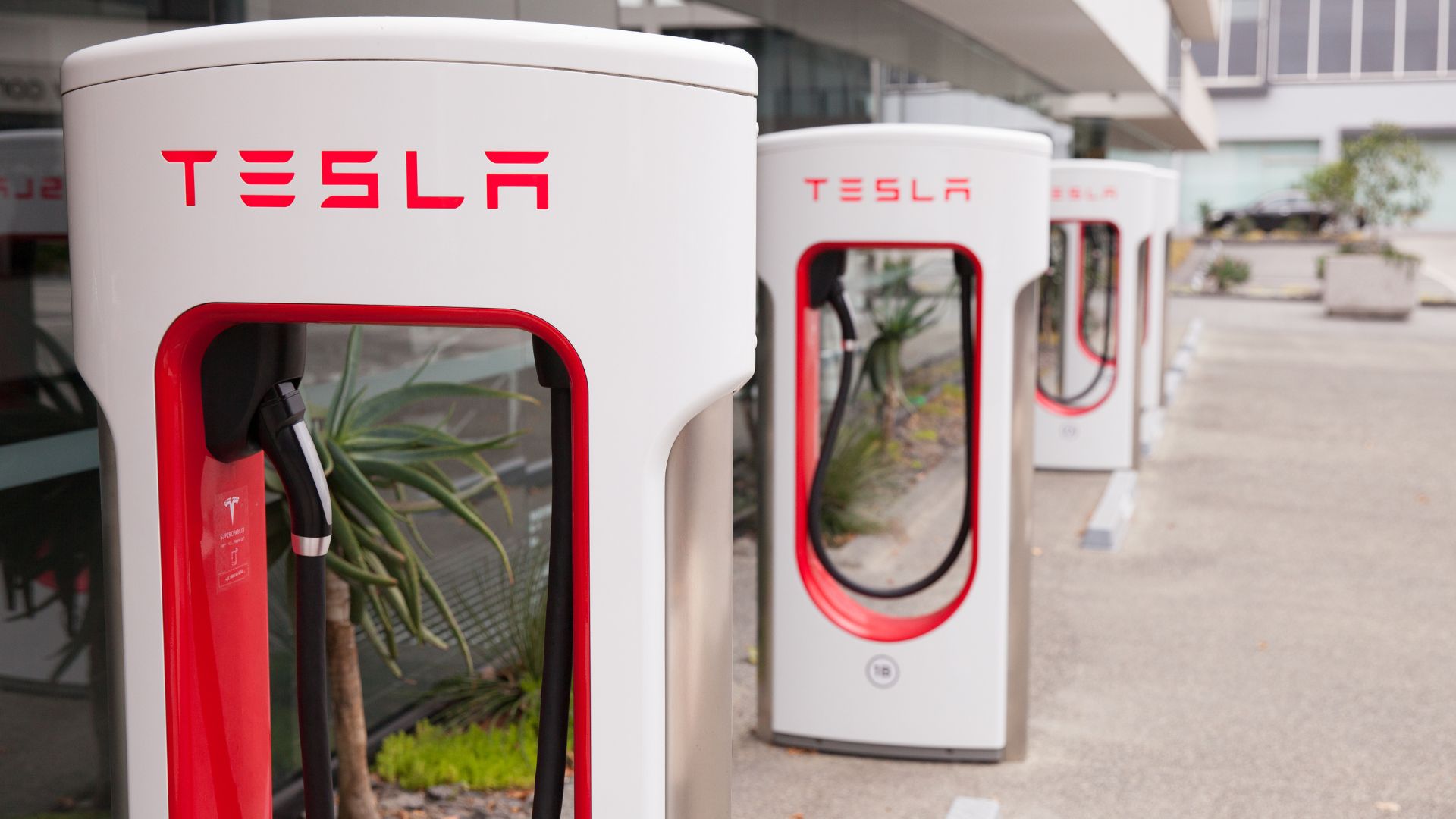 A row of Tesla charging stations in a parking lot