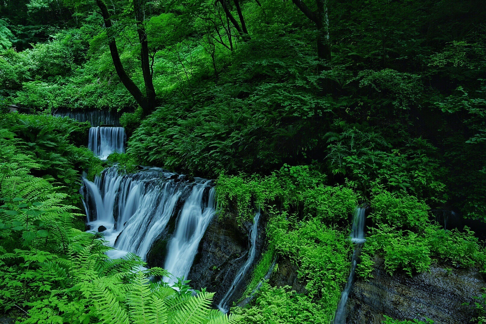 Beautiful waterfall in a lush, green forest.