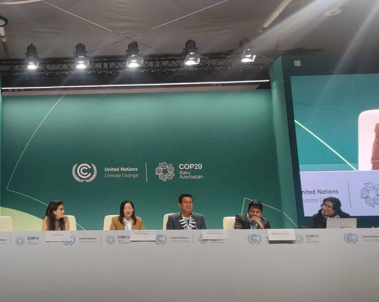 A speaker panel at COP29.