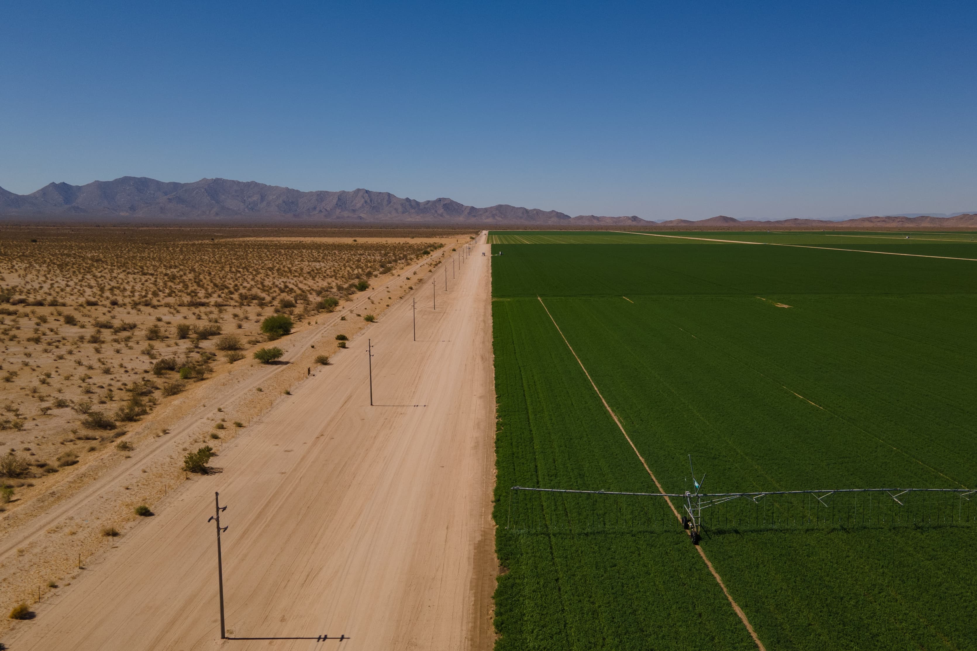 A desert landscape next to lush green fields, separated by a dirt road.