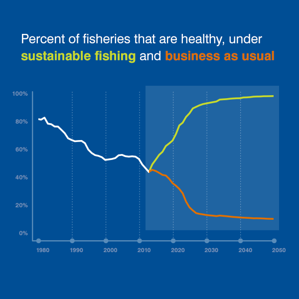 this-graph-shows-fisheries-can-be-healthy-in-as-few-as-ten-years-environmental-defense-fund