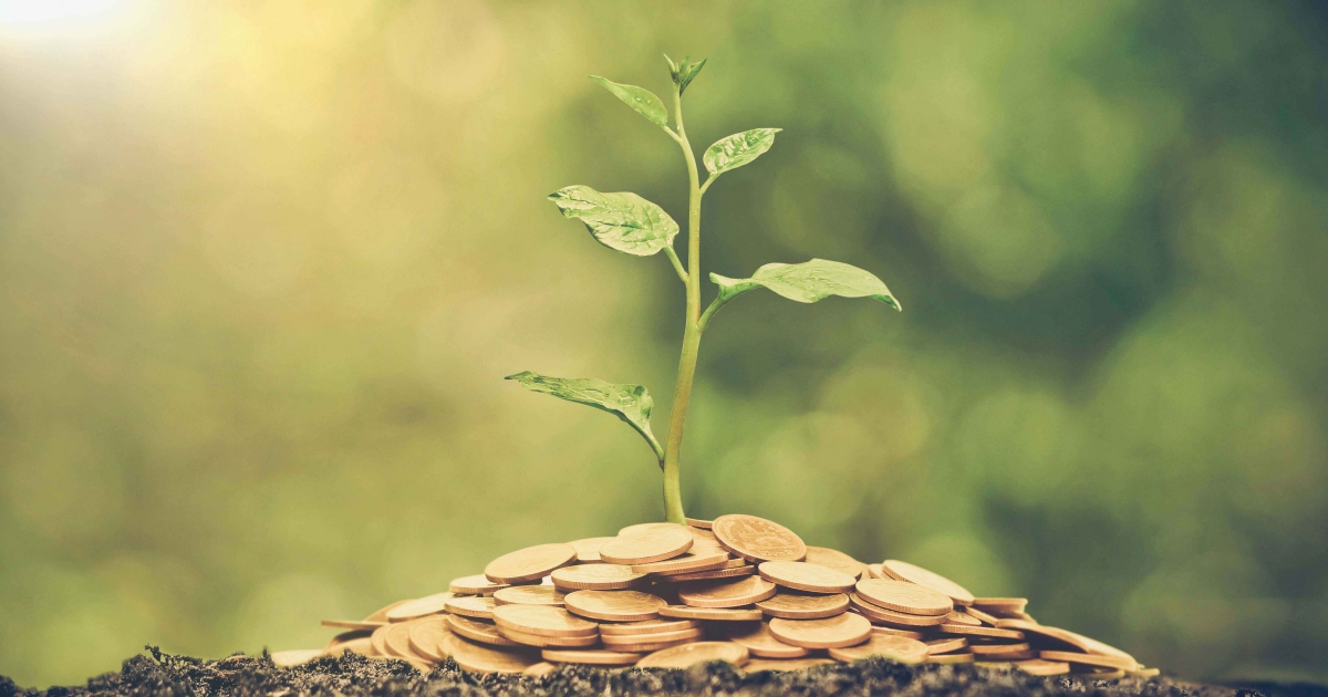 Environmental impact bonds Next big thing for green investments