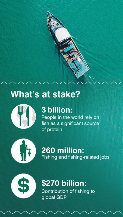 Fisheries infographic