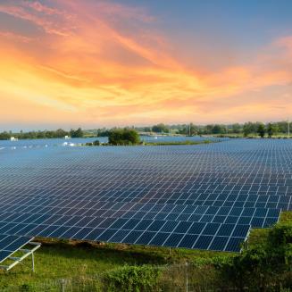 A large solar panel array