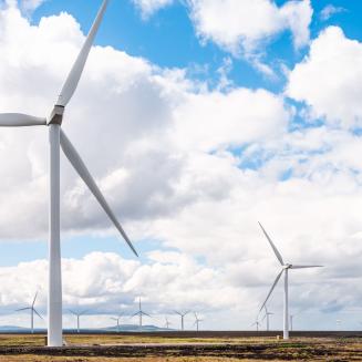 A row of wind turbines
