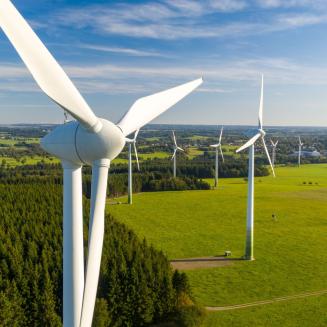 A row of wind turbines in green fields with forests behind them