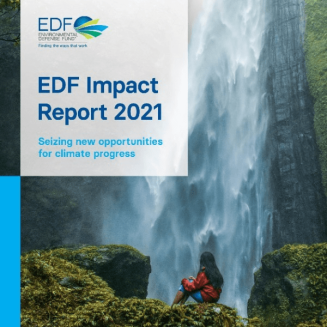 EDF Impact Report 2021 cover image