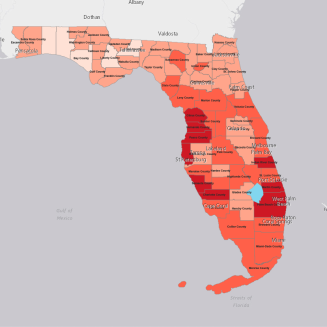 Square screenshot of analysis map of Florida