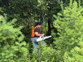 Harrisburg University student conducting ground geophysics survey in Gamelands 72, rural Pennsylvania. She operates the backpack magnetometer within a group of pine trees.