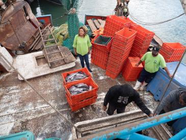 Fish being taken off a boat in orange containers, viewed from overhead.