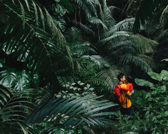 father and child in forest