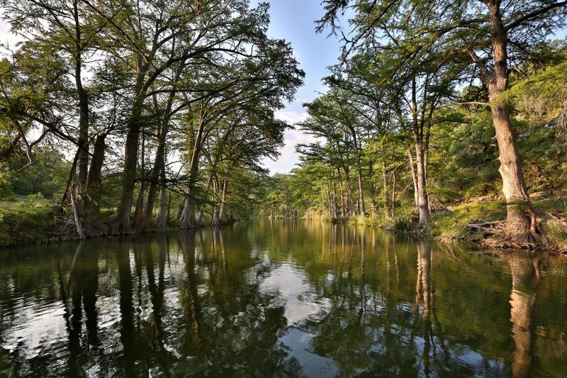 Calm river lined with tall cypress trees on both banks, their trunks and green foliage reflected in the still water. Warm sunlight filters through the trees, illuminating the wooded landscape and creating mirror-like reflections along the tranquil waterway.